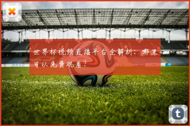 世界杯视频直播平台全解析：哪里可以免费观看？