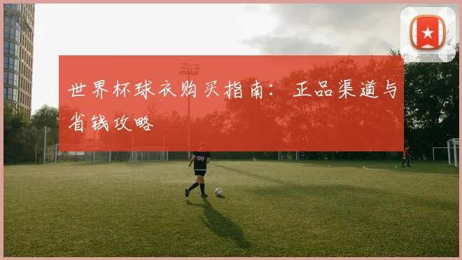 世界杯球衣购买指南：正品渠道与省钱攻略