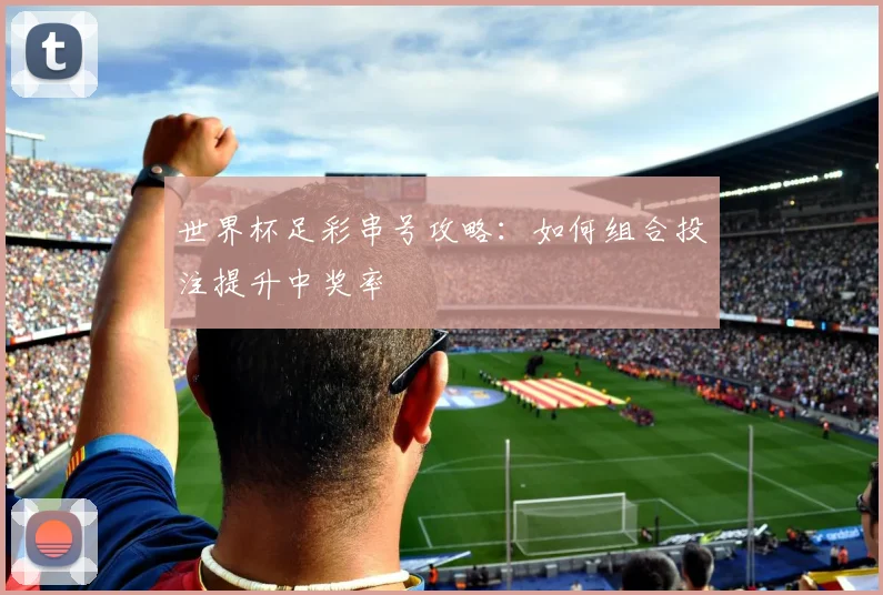 世界杯足彩串号攻略：如何组合投注提升中奖率